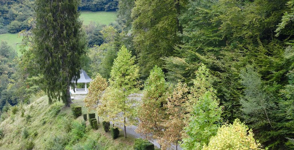 Hotel Des オー・ボンヌ エクステリア 写真